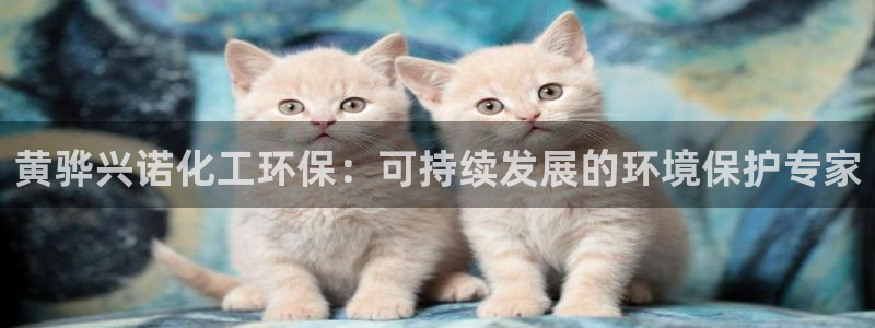 亿万先生手机版客户端下载官网：黄骅兴诺化工环保：可持续发展的环境保护专家