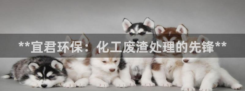 亿万先生官方网站首页：**宜君环保：化工废渣处理的先锋**