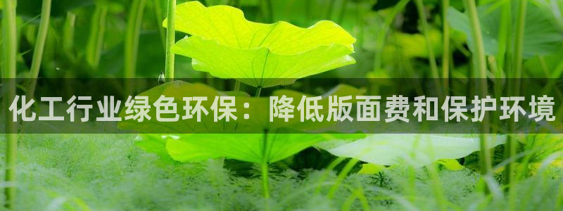 亿万国际游戏官网：化工行业绿色环保：降低版面费和保护环境