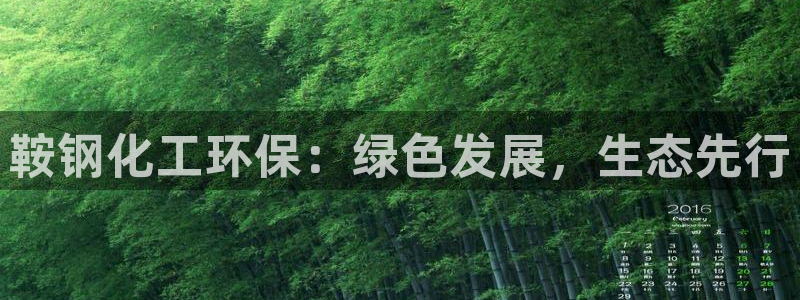 亿万先生网址生：鞍钢化工环保：绿色发展，生态先行