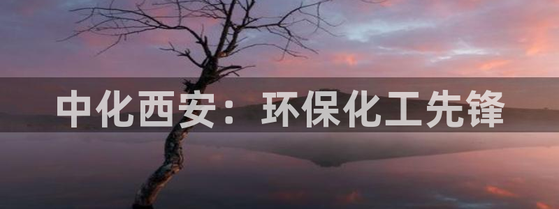 亿万手游官网：中化西安：环保化工先锋