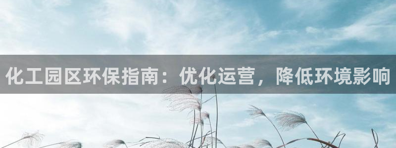 mr亿万先生：化工园区环保指南：优化运营，降低环境影响