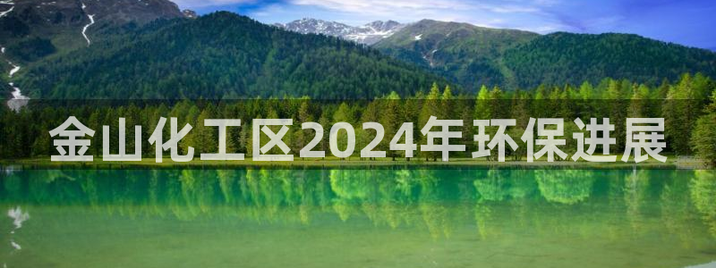 亿万网络科技有限公司ceo：金山化工区2024年环保进展