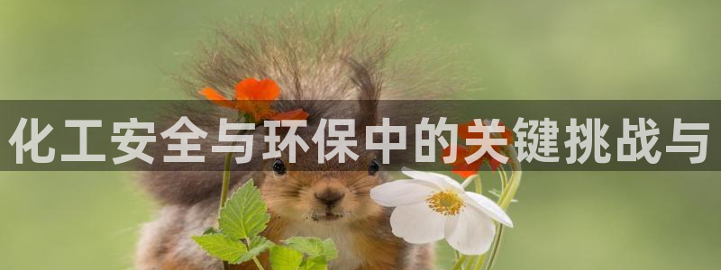 亿万官网手机登录：化工安全与环保中的关键挑战与