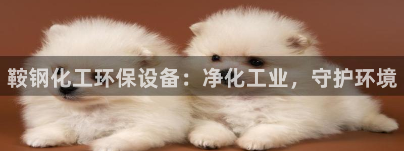 亿万先生手机版客户端下载安装：鞍钢化工环保设备：净化工业，守护环境