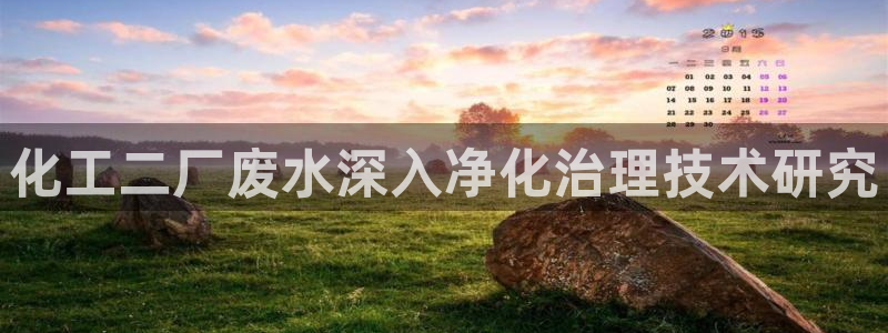 亿万先生官方客服：化工二厂废水深入净化治理技术研究