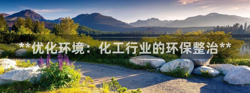 亿万万作者：**优化环境：化工行业的环保整治**