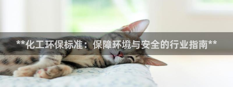 亿万先生手机客户端：**化工环保标准：保障环境与安全的行业指南**