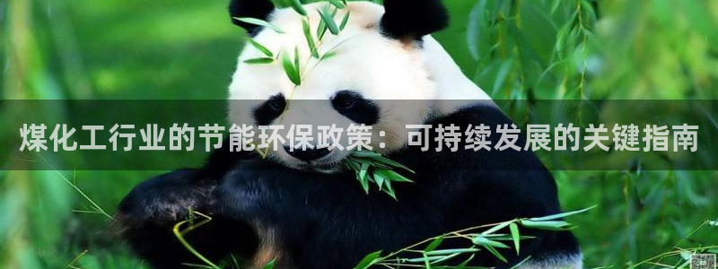 亿万先生007客服：煤化工行业的节能环保政策：可持续发展的关键指南