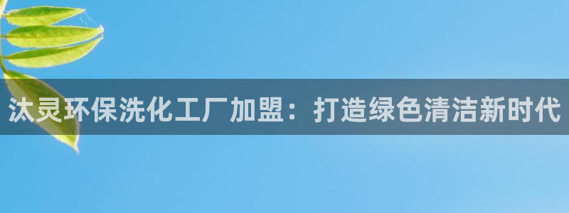 亿万第一集：汰灵环保洗化工厂加盟：打造绿色清洁新时代