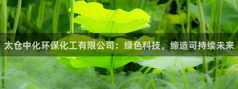 亿万先生官方网站：太仓中化环保化工有限公司：绿色科技，缔造可持续未来