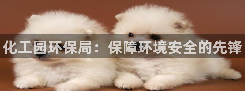 亿万billions：化工园环保局：保障环境安全的先锋