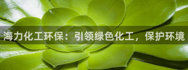 亿万集团：海力化工环保：引领绿色化工，保护环境
