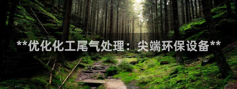 亿万网络：**优化化工尾气处理：尖端环保设备**