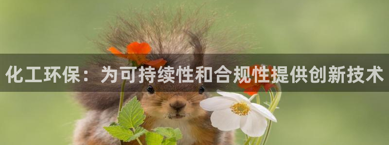 亿万购平台最新消息：化工环保：为可持续性和合规性提供创新技术