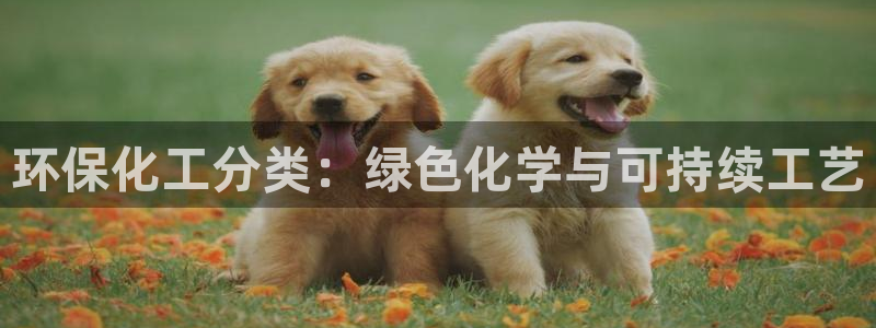 亿万先生官方网站客户端下载安装：环保化工分类：绿色化学与可持续工艺