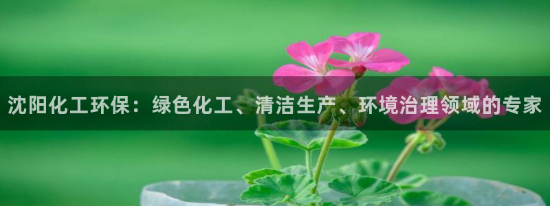 亿万先生mr014：沈阳化工环保：绿色化工、清洁生产、环境治理领域的专家
