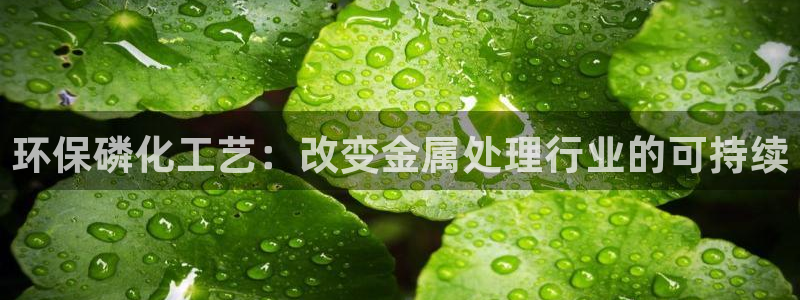 亿万剧情简介：环保磷化工艺：改变金属处理行业的可持续