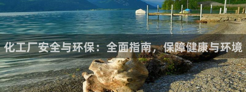 mr8001亿万先生：化工厂安全与环保：全面指南，保障健康与环境