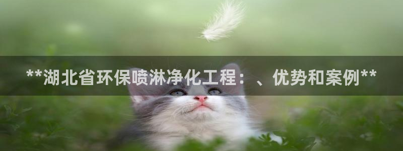 亿万国际游戏官网手机版：**湖北省环保喷淋净化工程：、优势和案例**