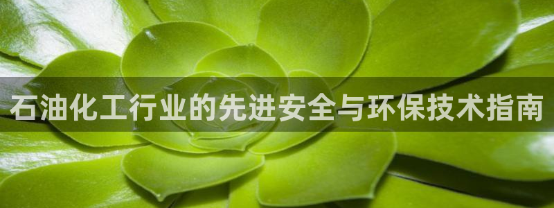亿万先生换网址了吗知乎：石油化工行业的先进安全与环保技术指南