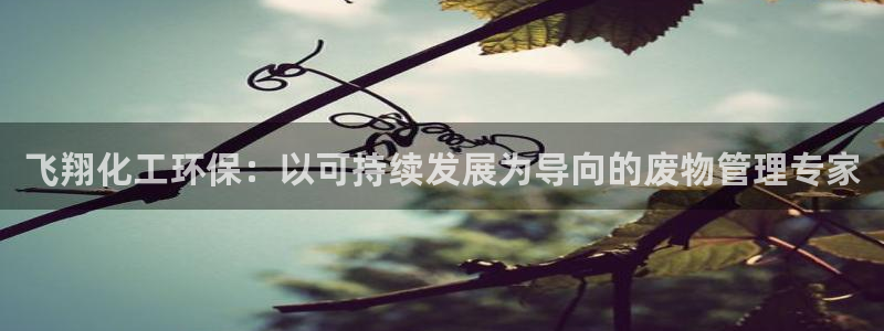 亿万第一集：飞翔化工环保：以可持续发展为导向的废物管理专家