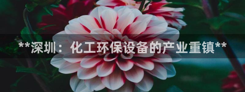 亿万先生官方客服