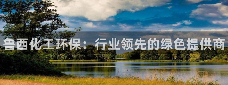 亿万先生网址生：鲁西化工环保：行业领先的绿色提供商