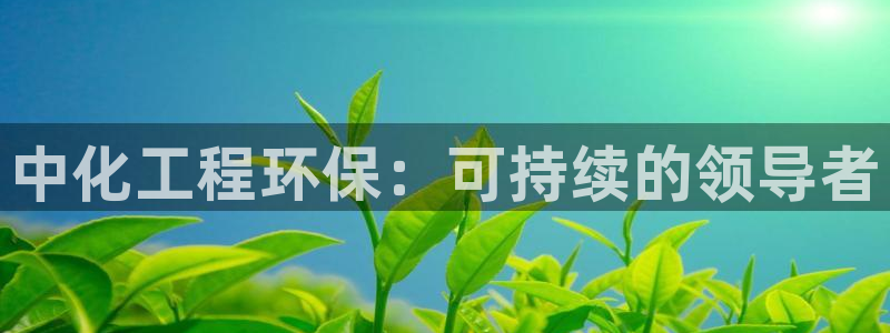 mr07亿万先生：中化工程环保：可持续的领导者