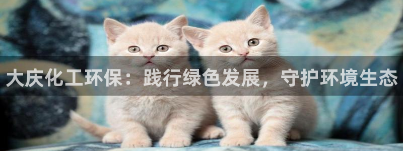亿万城市手游：大庆化工环保：践行绿色发展，守护环境生态