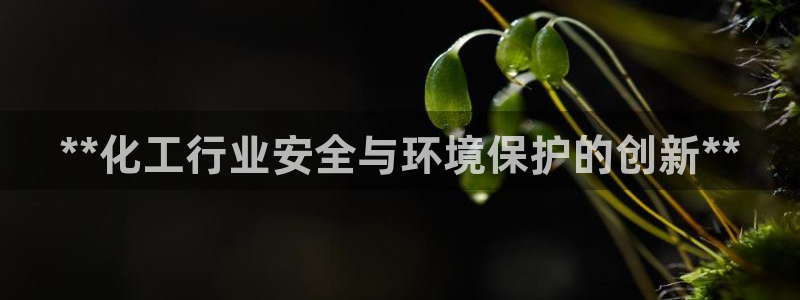 亿万先生 手机版下载最新版：**化工行业安全与环境保护的创新**