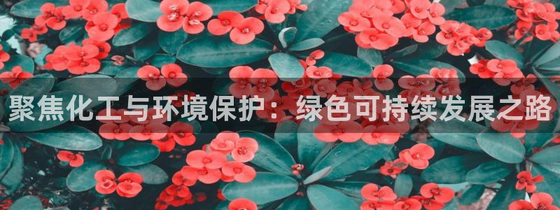 亿万先生网站下载：聚焦化工与环境保护：绿色可持续发展之路