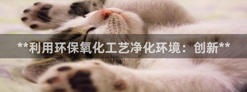 亿万手游官网：**利用环保氧化工艺净化环境：创新**