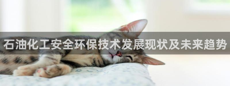 亿万先生客服联系电话：石油化工安全环保技术发展现状及未来趋势