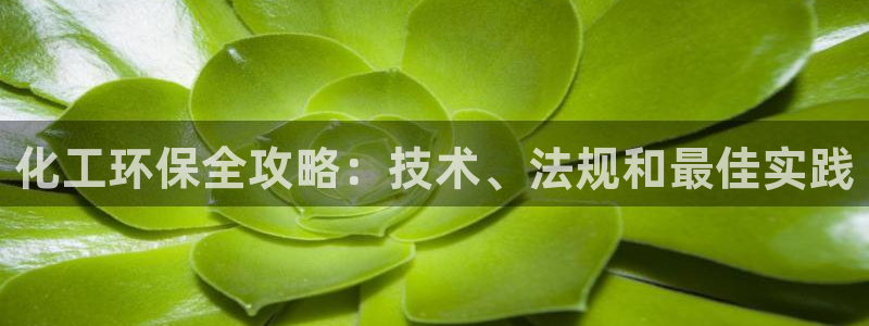 亿万首富手游兑换码：化工环保全攻略：技术、法规和最佳实践