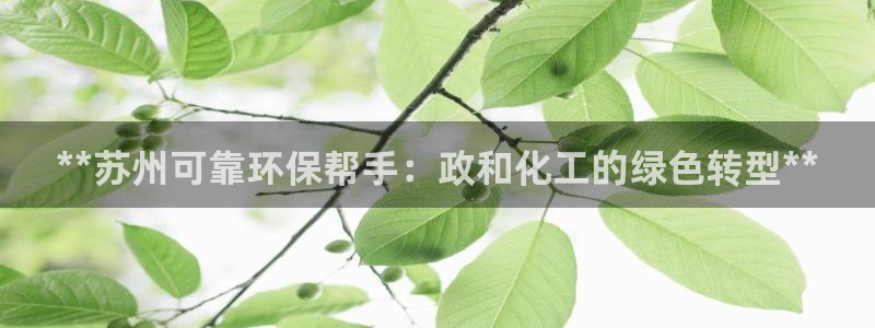 亿万先生mr07官网：**苏州可靠环保帮手：政和化工的绿色转型**