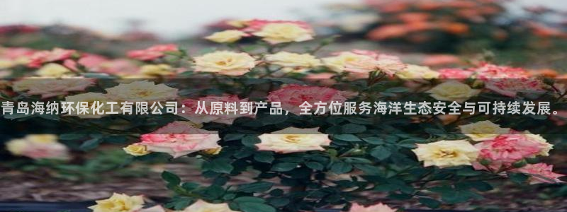 亿万先生007客服：青岛海纳环保化工有限公司：从原料到产品，全方位服务海洋生态安全与可持续发展。