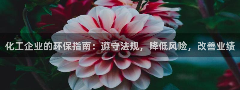 亿万先生情侣车有什么用：化工企业的环保指南：遵守法规，降低风险，改善业绩