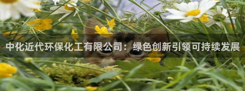 电影 亿万