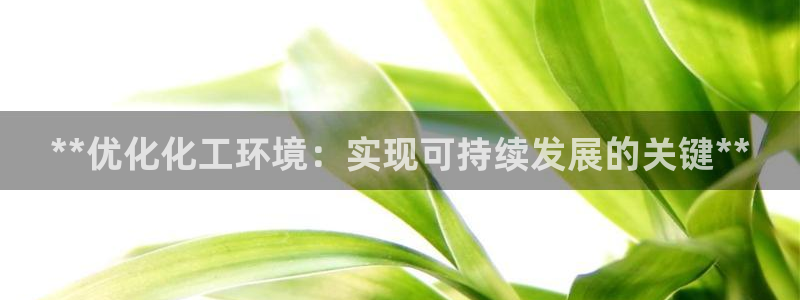 亿万第一季字幕：**优化化工环境：实现可持续发展的关键**