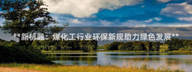 亿万网络科技有限公司ceo：**新标题：煤化工行业环保新规助力绿色发展**