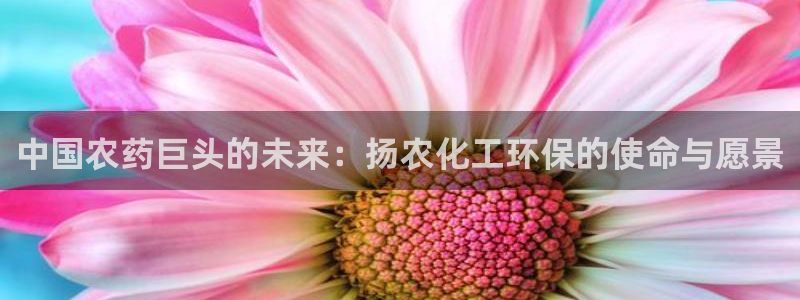 亿万城市手游：中国农药巨头的未来：扬农化工环保的使命与愿景