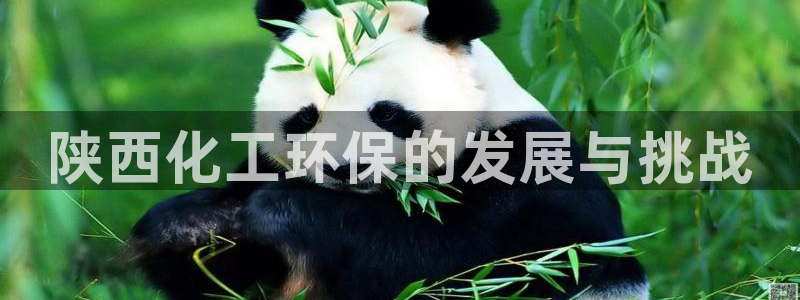 亿万billions：陕西化工环保的发展与挑战