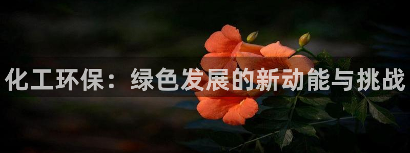 亿万官网：化工环保：绿色发展的新动能与挑战