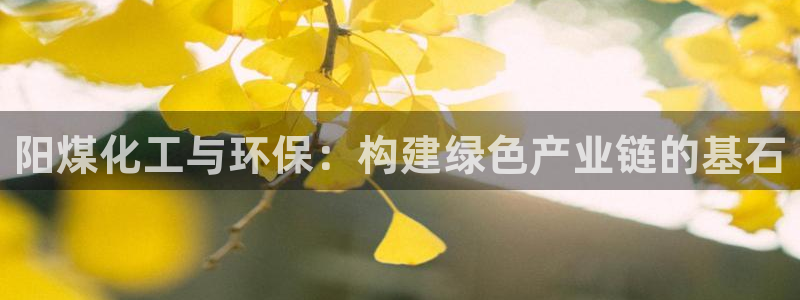 亿万先生手游下载安装：阳煤化工与环保：构建绿色产业链的基石