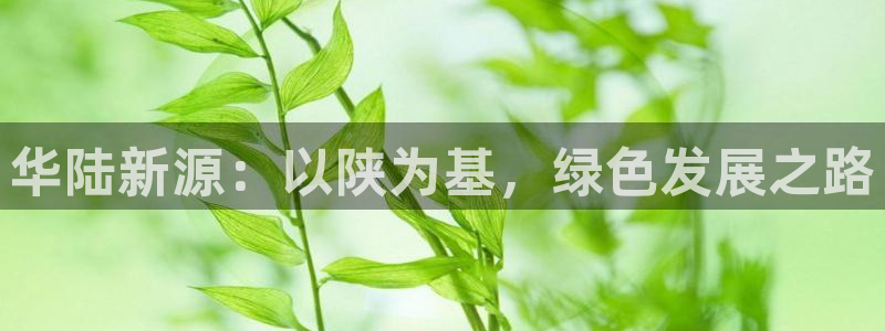 亿万网络科技有限公司ceo：华陆新源：以陕为基，绿色发展之路