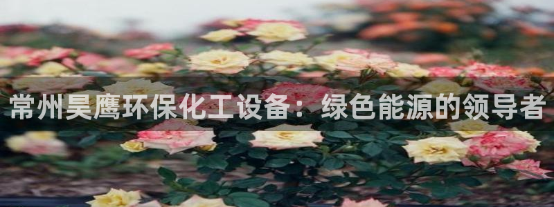 亿万百度吧：常州昊鹰环保化工设备：绿色能源的领导者