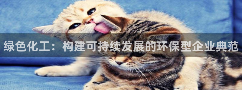 亿万官网：绿色化工：构建可持续发展的环保型企业典范