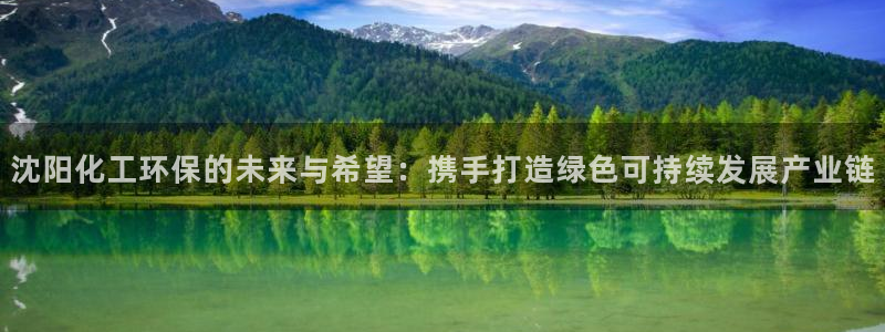 亿万官网：沈阳化工环保的未来与希望：携手打造绿色可持续发展产业链