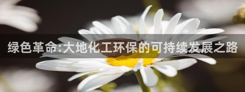 亿万首富手游兑换码：绿色革命:大地化工环保的可持续发展之路